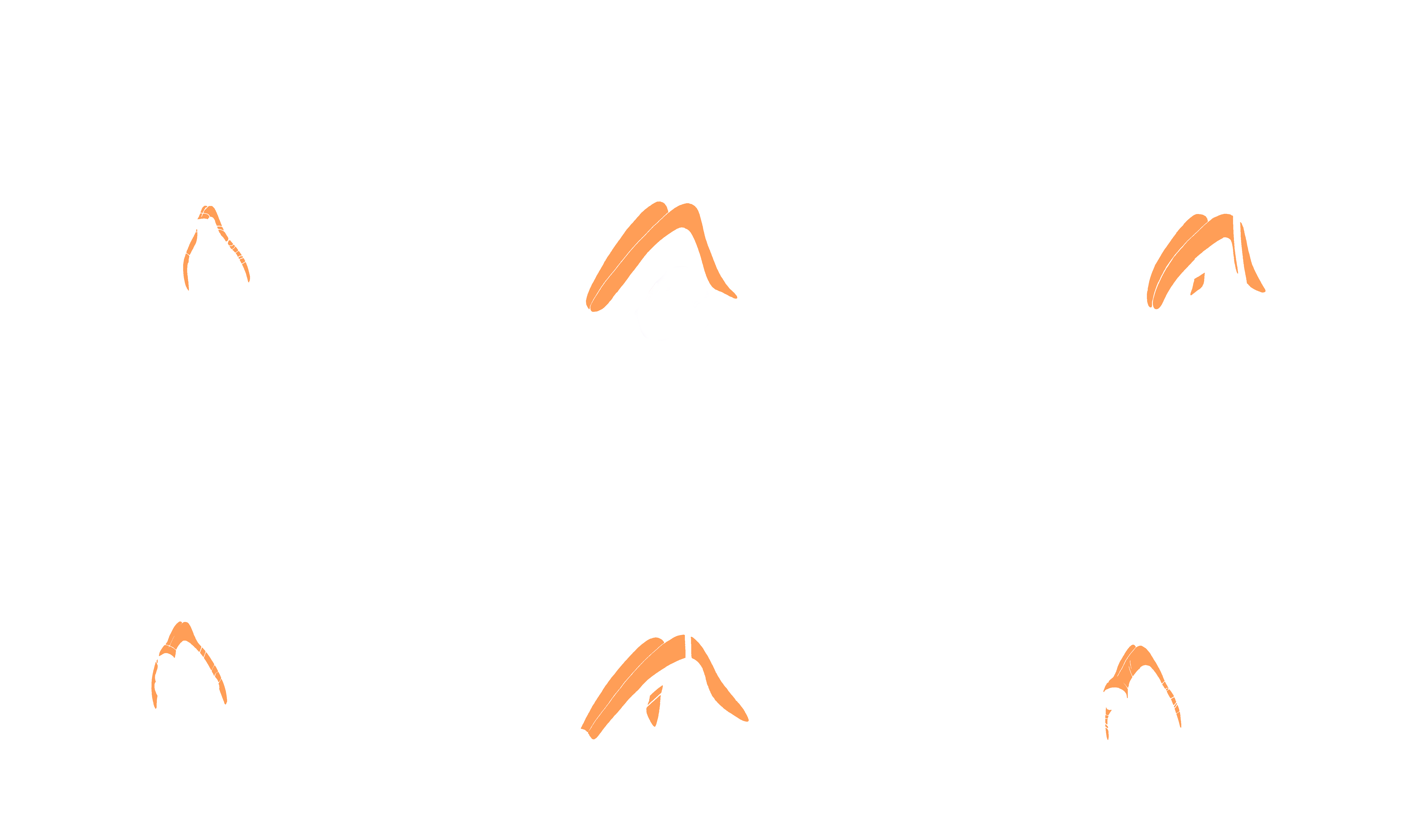 corps caverneux
